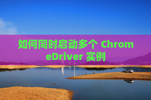 如何同时启动多个 ChromeDriver 实例
