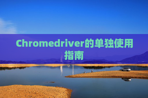Chromedriver的单独使用指南